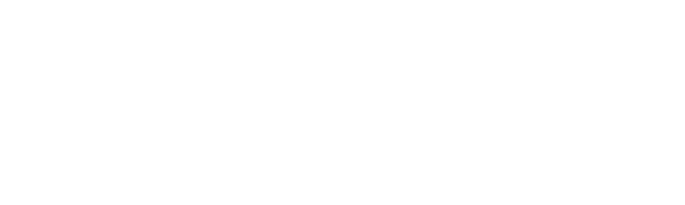 Logo ICPR